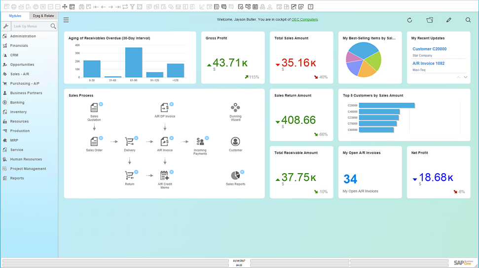 SAP Business One