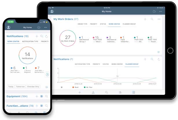 SAP Mobile Access