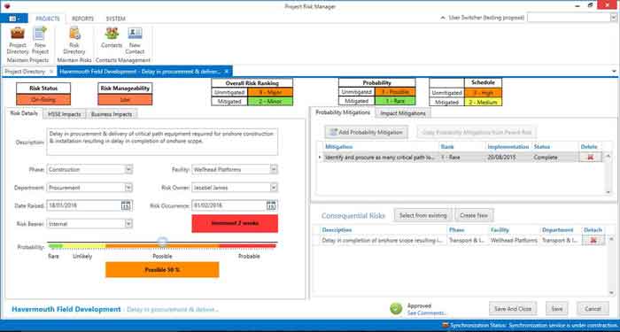 Project Risk Manager Example