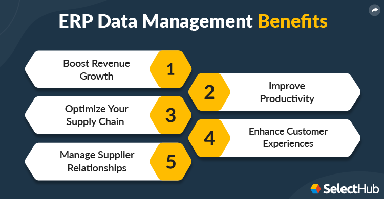 ERP Data Management Benefits