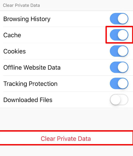 Clear Private Data in FireFox iPhone