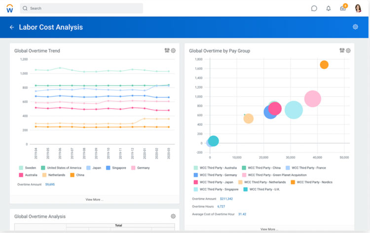 Workday Labour Cost Analysis Dashboard