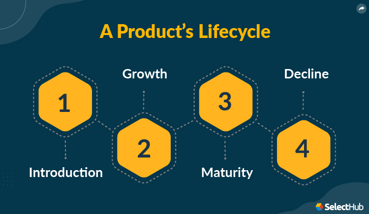 The Product Lifecycle