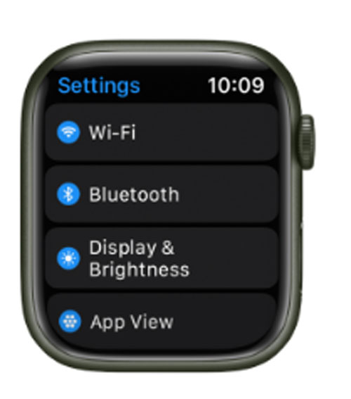 Apple Watch Settings