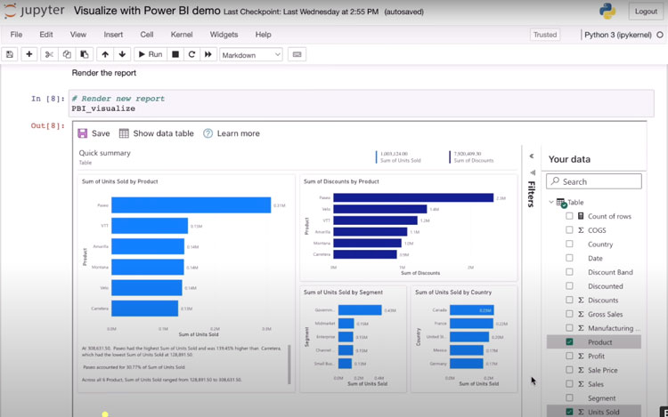 Jupyter Notebook rendering Power BI visualizations with filters and charts