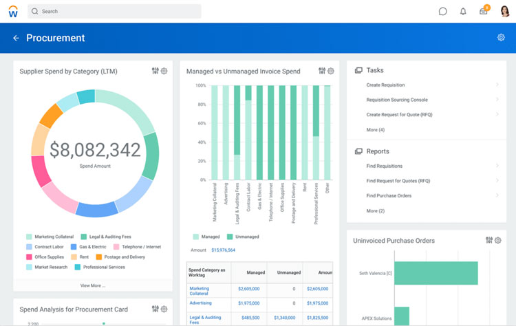 Workday Procurement Dashboard Overview