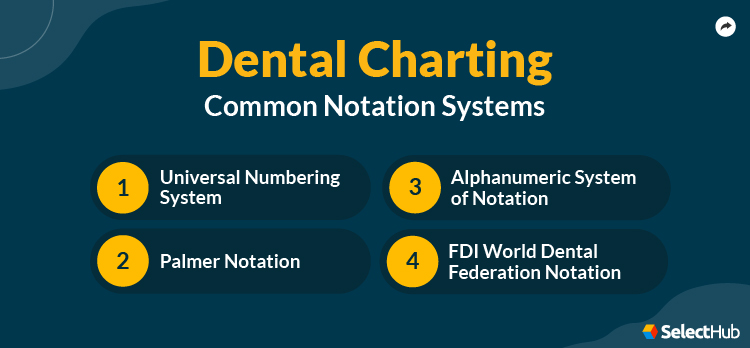 Dental Charting Notation Systems