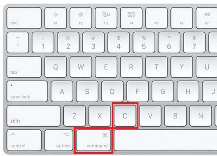 Copy Shortcut Key on Mac