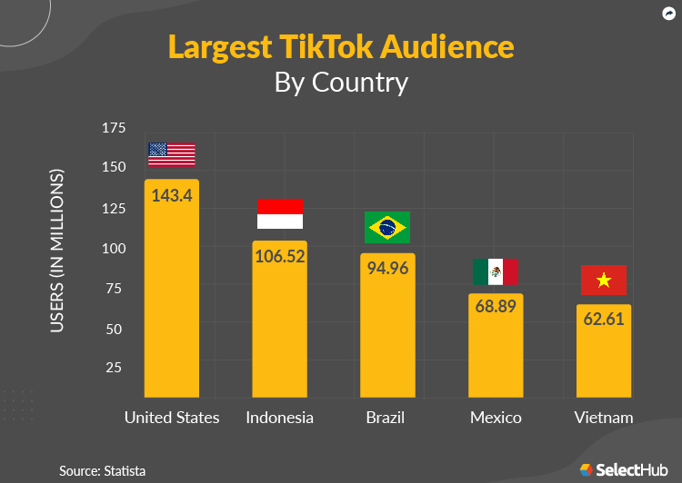 TikTok Audience by Country