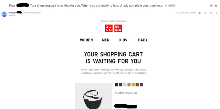 Abandoned Cart Email Example