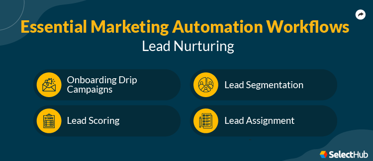 Lead Nurturing Workflows