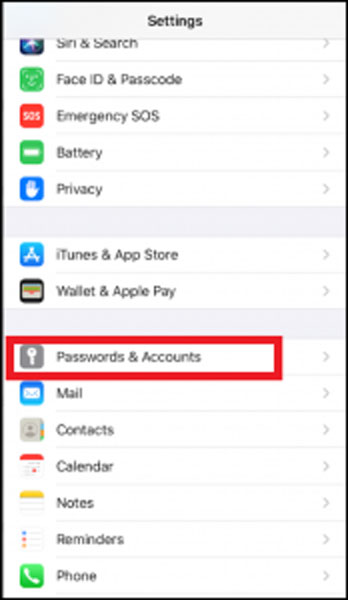 iPhone Password and Accounts Settings