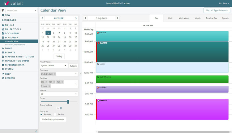 Valant calendar view showing scheduled appointments