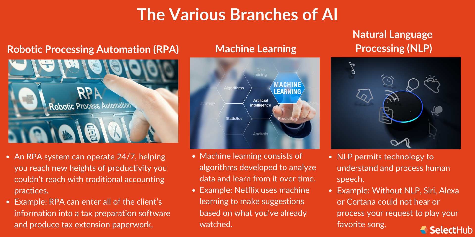 Various Branches of AI in Accounting Practices