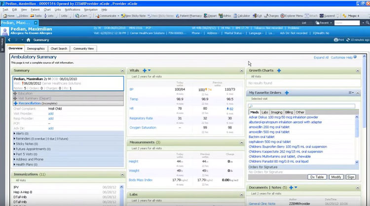 Patient Overview in CernerAmbulatory