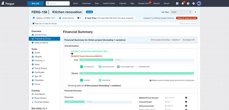 Fergus Financial Summary Analysis