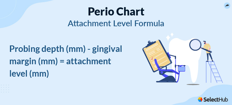 Perio Chart Attachment Level Formula