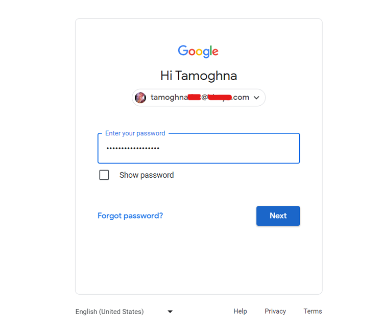 Google Account Login Page