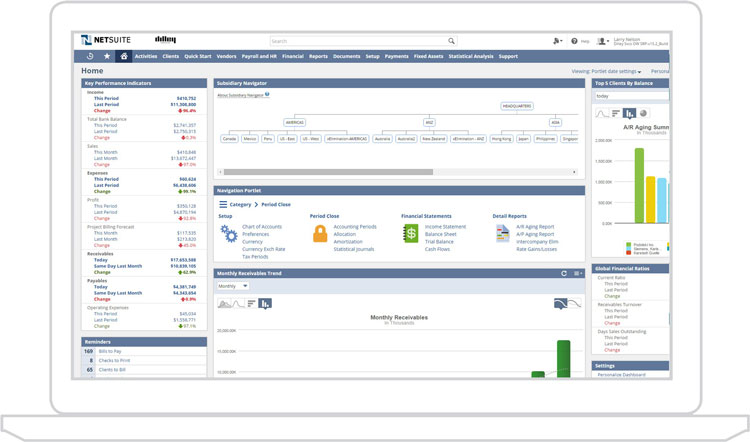 NetSuite User Interface