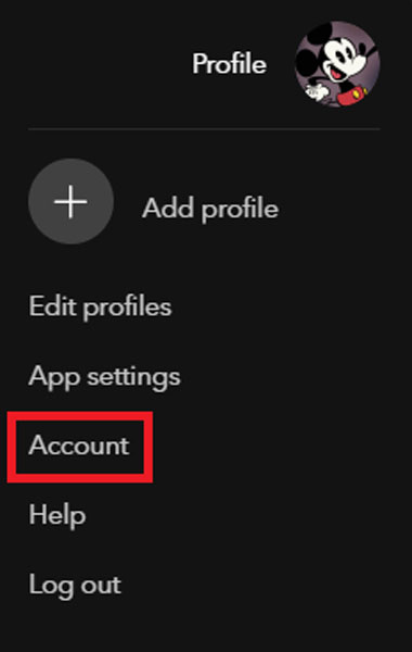 Disney Plus Account Settings